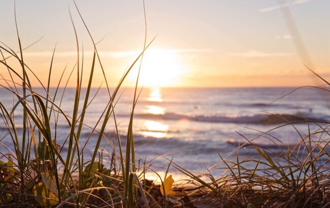 pexels-nathan-cowley-2403929