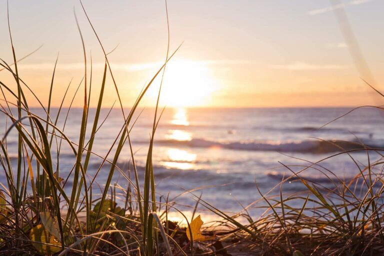 pexels-nathan-cowley-2403929