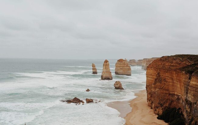 pexels-valeriia-miller-3798146