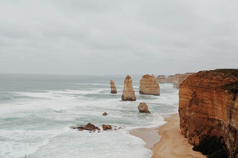 pexels-valeriia-miller-3798146